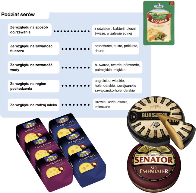 podział serów podpuszczkowych