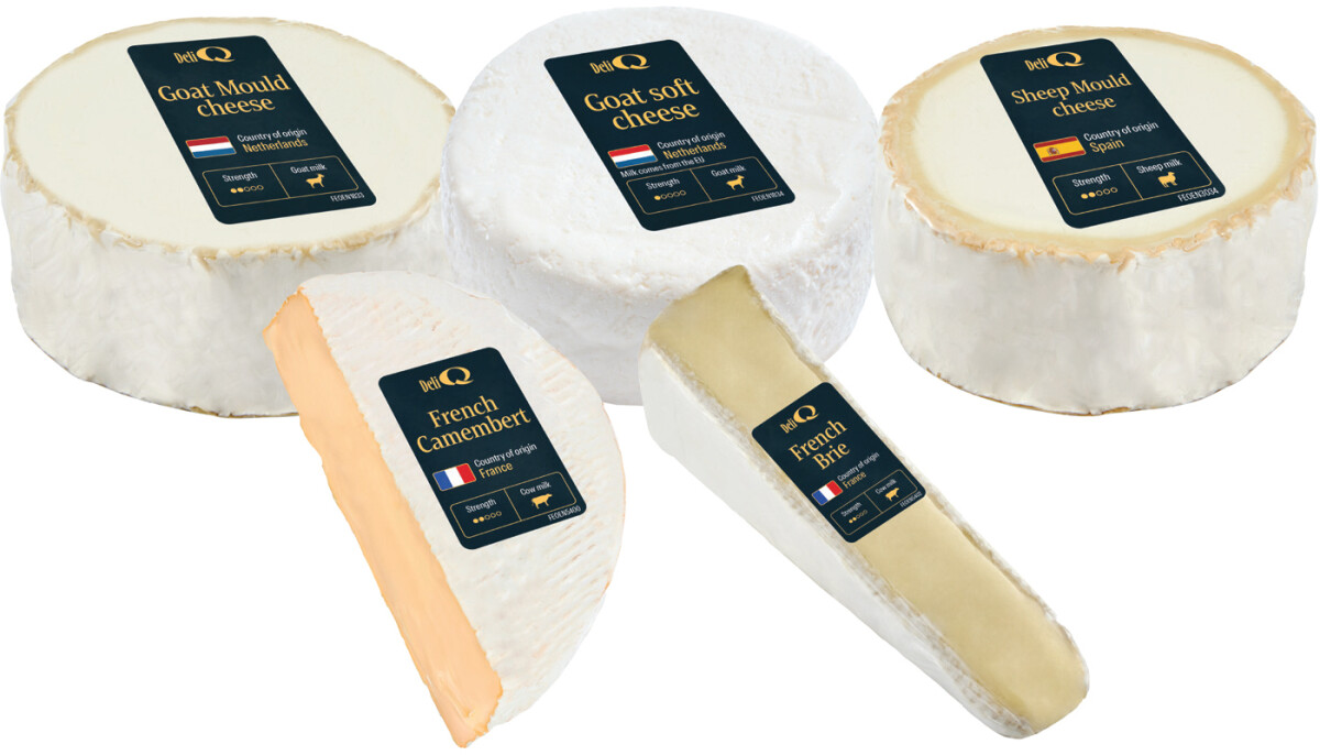 ftench camembert goat soft cheese