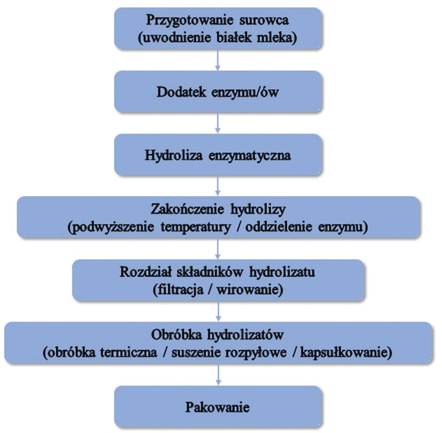 Przemysłowe otrzymywanie hydrolizatów białek mleka