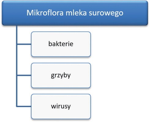 Mikroflora mleka surowego