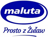 logo Nowy Dwór Gdański OSM