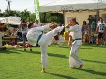 Pokaz karate przyciągnął uwagę młodzieży marzącej o uprawianiu sportu.