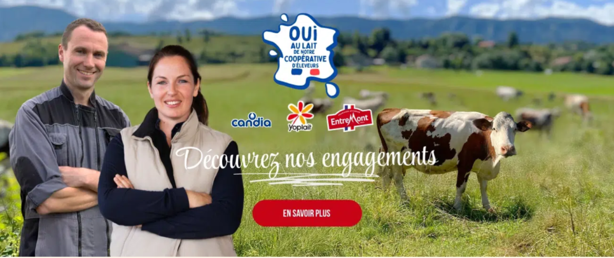 serwis internetowy marki entremont