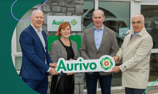 Zrzut ekranu 2026-04-10 120617