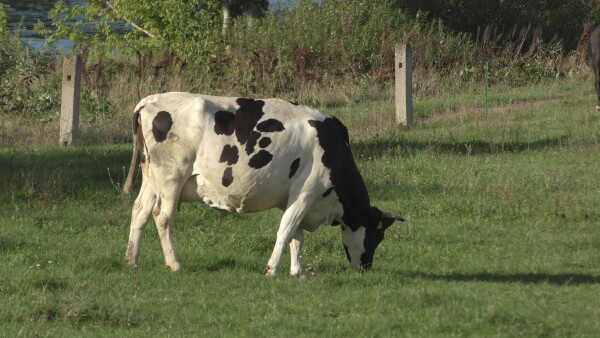 S3250008.JPG